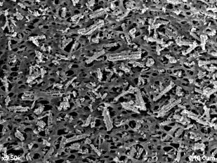 锰基锂离子筛聚偏氟乙烯杂化膜用于锂的提取